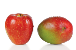 Apple Mango Tango Type