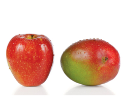 Apple Mango Tango Type