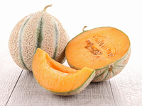 Cantaloupe