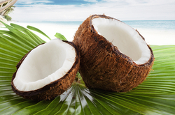 Caribbean Coconut