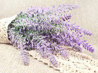 Lavender Linen