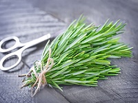 Rosemary EO, Pure, 2 oz