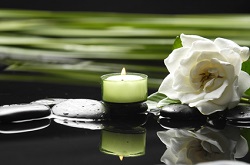 Sandalwood & Gardenia