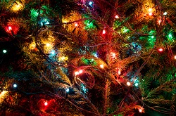 Smells Like Christmas!