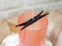 TruWiks (TM) Wick Holder