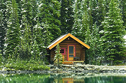 Balsam & Cedar Yankee Type