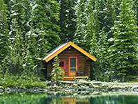 Balsam & Cedar Yankee Type