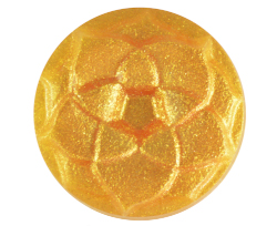 Gold Coast Holiday Mica Powder #2