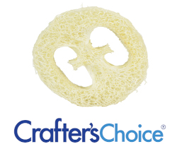 7/8" Luffa, Pack of 12