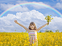 Spring & Renewal Febreeze Type