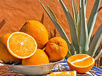 Sweet Orange & Agave BBW Type